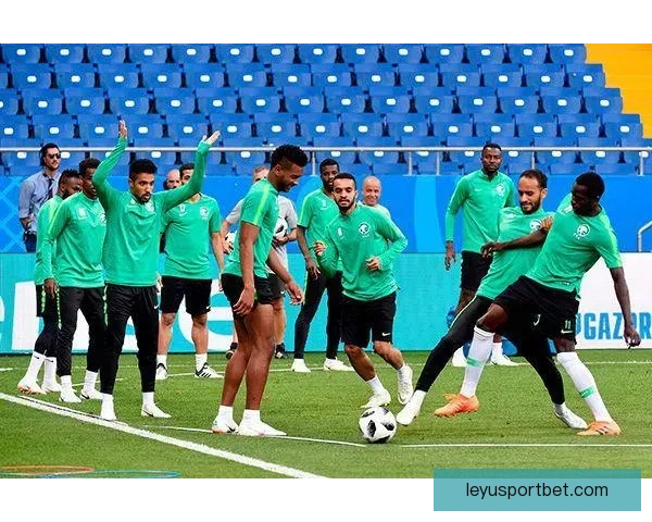 世界杯足球竞猜盘口全面解析与投注技巧深度指南