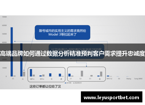 高端品牌如何通过数据分析精准预判客户需求提升忠诚度